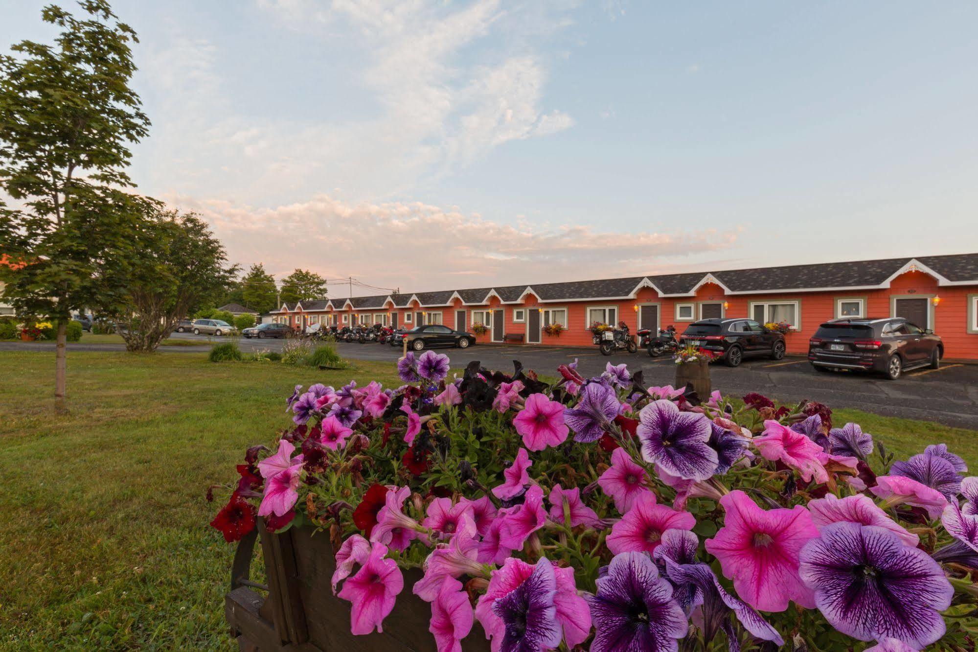 Motel Au Fleuve D'Argent Rivière-du-Loup Екстериор снимка